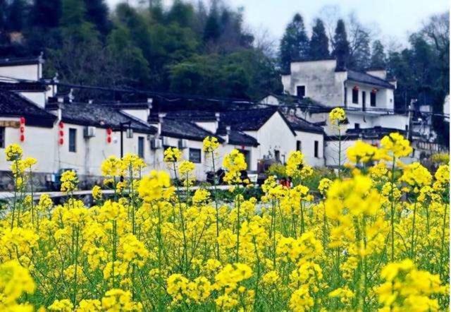 Xishan Wutong Qinyuan Huang Shan Buitenkant foto