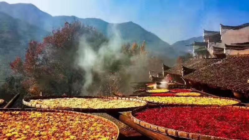 Xishan Wutong Qinyuan Huang Shan Buitenkant foto