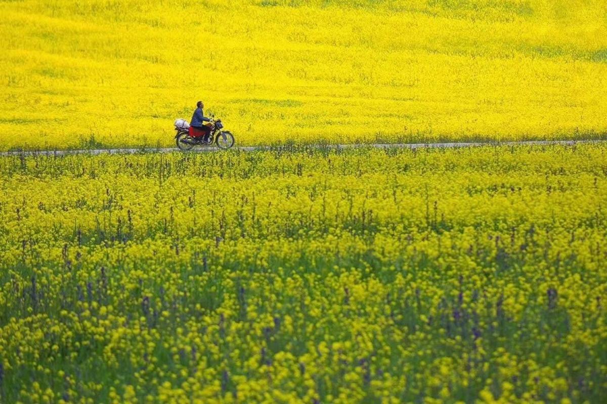 Xishan Wutong Qinyuan Huang Shan Buitenkant foto